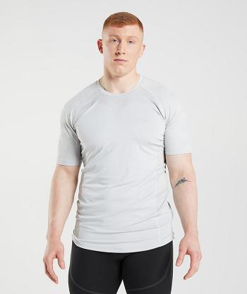 Gymshark 315 T Shirts Herr Ljusgrå | SE 3909VRW